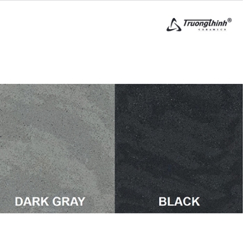 The Statement Collection