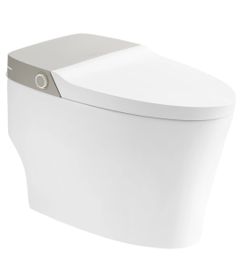 Bồn cầu thông minh Arrow AKB1102M